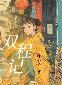 《双程记》封面