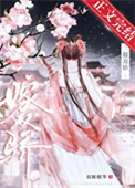 《嫁双骄》封面