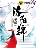 《洛阳锦》封面