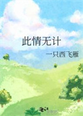 《此情无计》封面