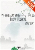 《在修仙游戏抽卡：开局抽到浸猪笼》封面