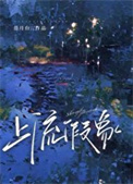 《上流假象》封面