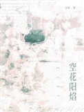 《空花阳焰》封面