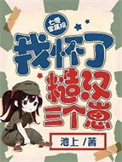 《七零家属院：我怀了糙汉三个崽》封面