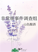 《非常规事件调查组》封面