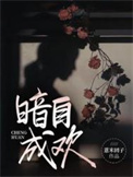 《暗自成欢》封面