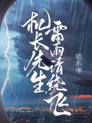 《机长先生，雷雨请绕飞》封面