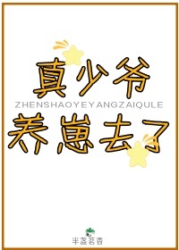 《真少爷养崽去了》封面
