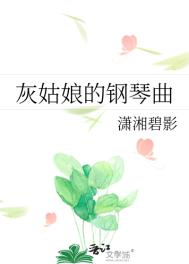 《灰姑娘的钢琴曲》封面