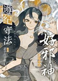 《遵纪守法好邪神》封面