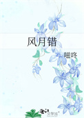 《风月错》封面