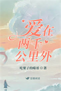 《爱在两千公里外》封面