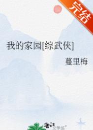 《我的家园[综武侠]》封面