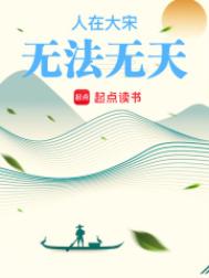 《人在大宋，无法无天》封面