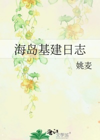 《海岛基建日志》封面