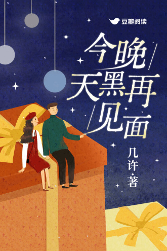 《今晚天黑再见面》封面