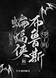 《[综英美]大蝙蝠和布鲁斯cp了吗》封面