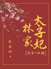 《[清穿+红楼]林家太子妃》封面