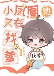 《小凤凰他又在找爹》封面