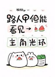 《路人，但能看见主角光环》封面