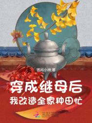 《穿成继母后，我改造全家种田忙》封面
