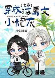 《成为海岛文小炮灰[七零]》封面