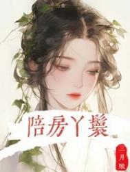 《陪房丫鬟》封面