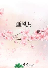 《画风月》封面