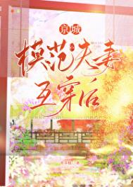 《京城模范夫妻互穿后》封面