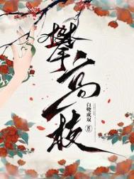 《攀高枝》封面