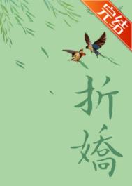 《折娇》封面