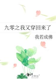 《九零之我又穿回来了》封面