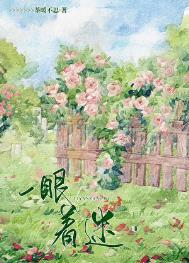 《一眼着迷》封面