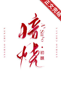 《暗烧》封面