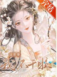 《待她折柳》封面