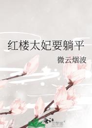 《红楼太妃要躺平》封面