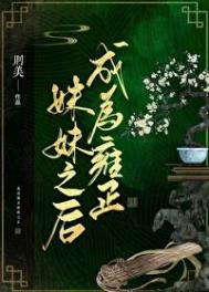 《（清穿）成为雍正妹妹之后》封面