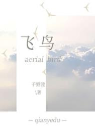 《飞鸟》封面