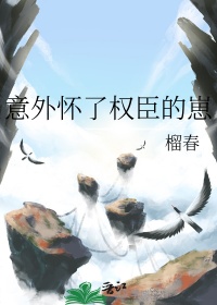 《意外怀了权臣的崽》封面