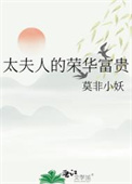 《太夫人的荣华富贵》封面