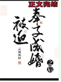 《被迫奉子成婚之后》封面