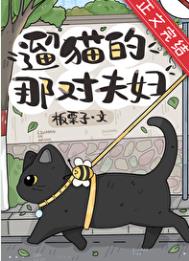 《遛猫的那对夫妇》封面