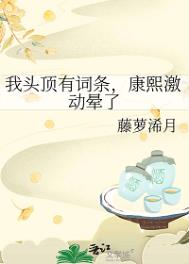 《我头顶有词条，康熙激动晕了》封面