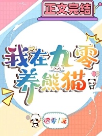 《九零年养熊猫日常》封面