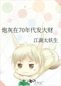 《炮灰在70年代发大财》封面