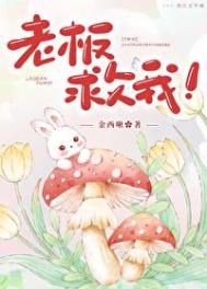 《老板救我！》封面