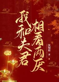 《我和夫君相看两厌》封面