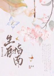 《侯府小妾生存指南》封面