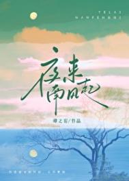 《夜来南风起》封面