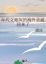 《年代文炮灰的海外亲戚回来了》封面